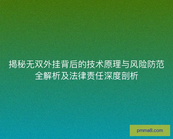 揭秘无双外挂背后的技术原理与风险防范全解析及法律责任深度剖析