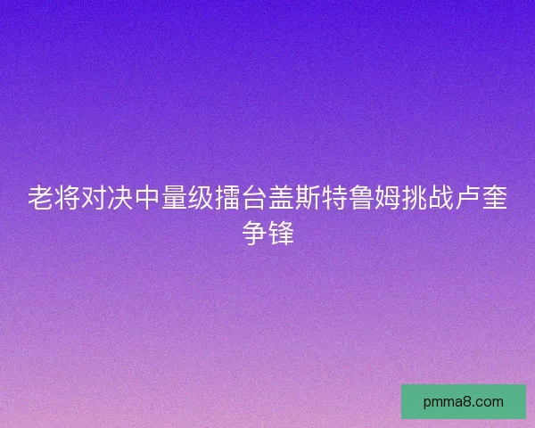 老将对决中量级擂台盖斯特鲁姆挑战卢奎争锋