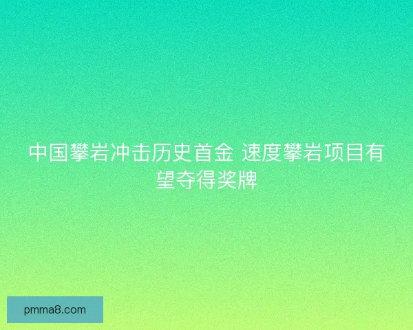 中国攀岩冲击历史首金 速度攀岩项目有望夺得奖牌